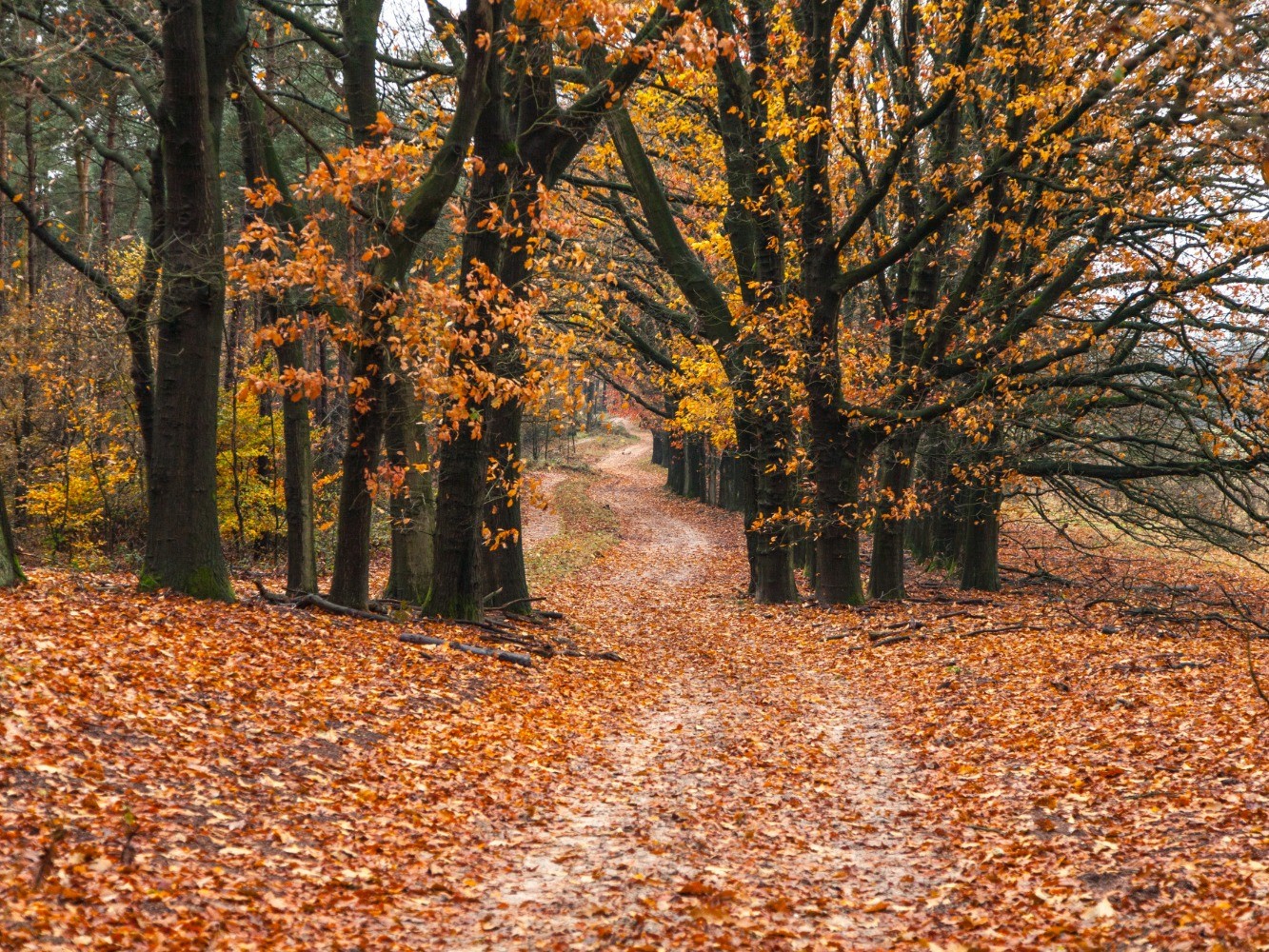 Girona otoño