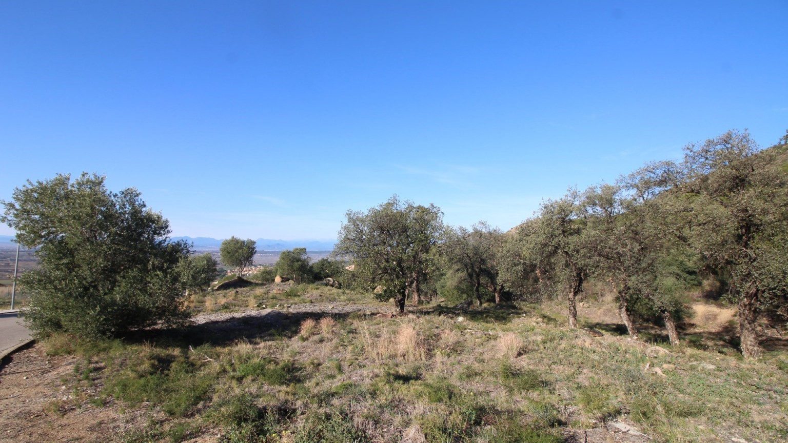 Bosque en venta o alquiler en la zona de Pau.