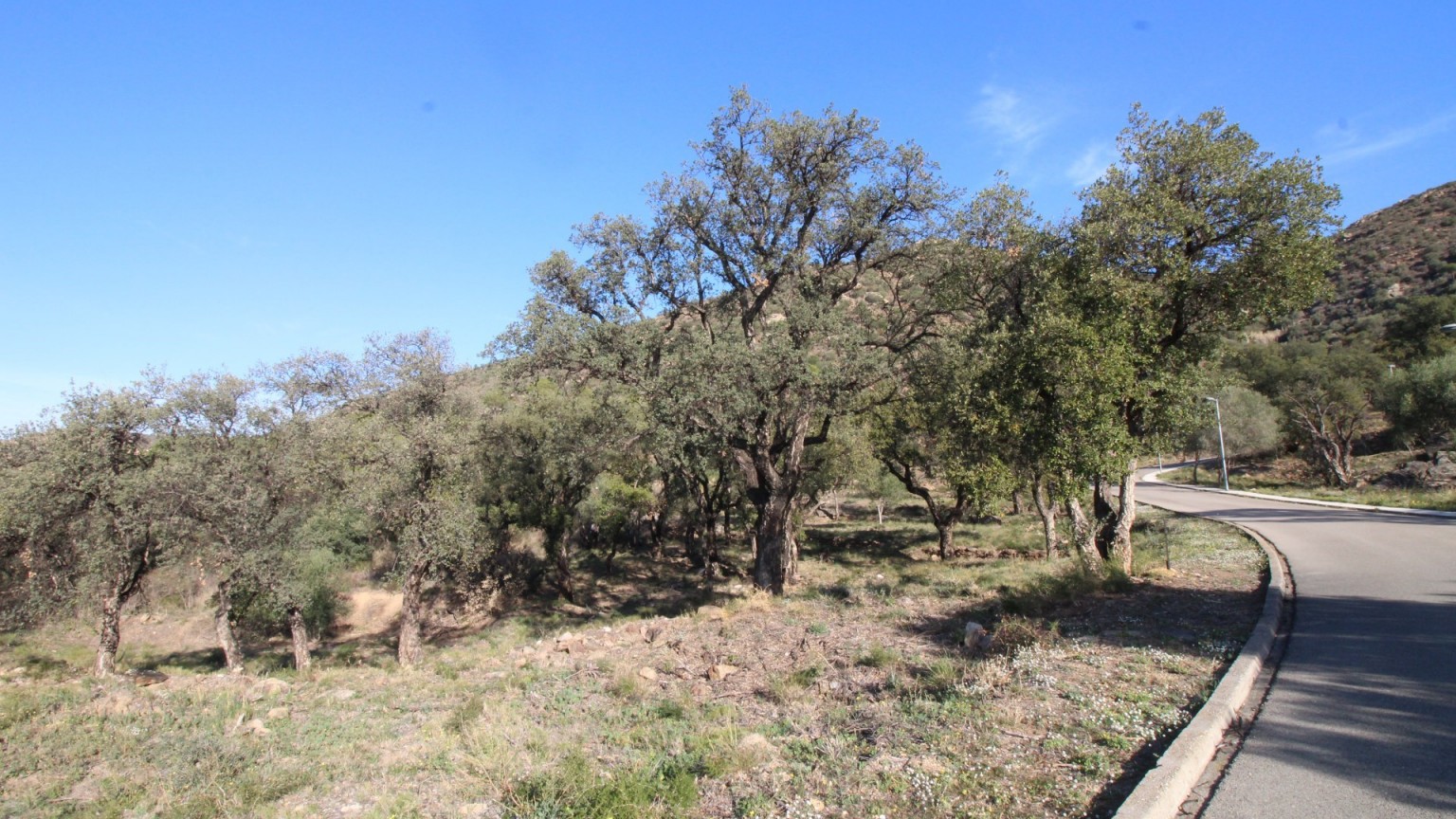 Bosque en venta o alquiler en la zona de Pau.