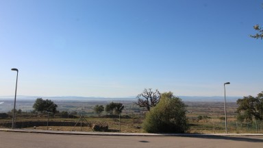 Bosque en venta o alquiler en la zona de Pau.