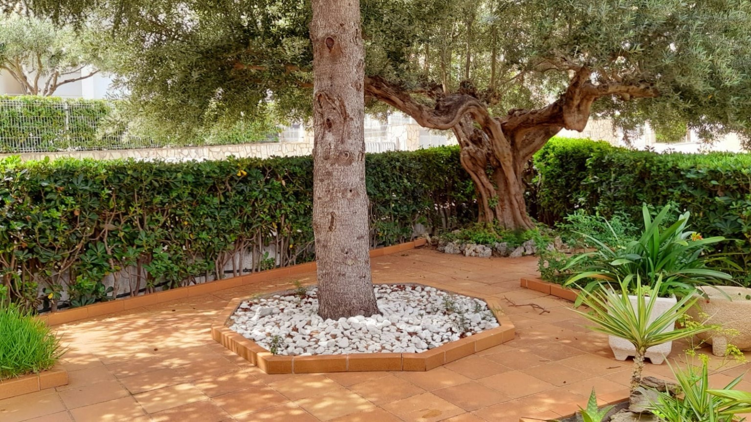 Bonica casa en venda a Fané de Baix