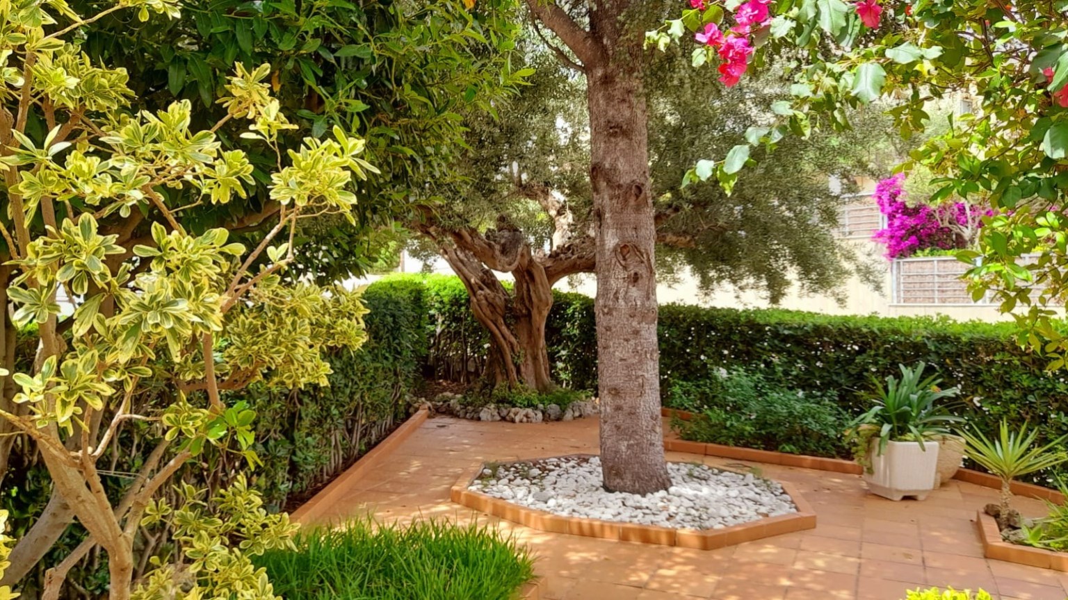 Bonica casa en venda a Fané de Baix