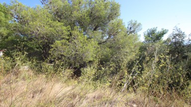 Fantástica parcela de terreno en venta con vista al mar en Cap Ras