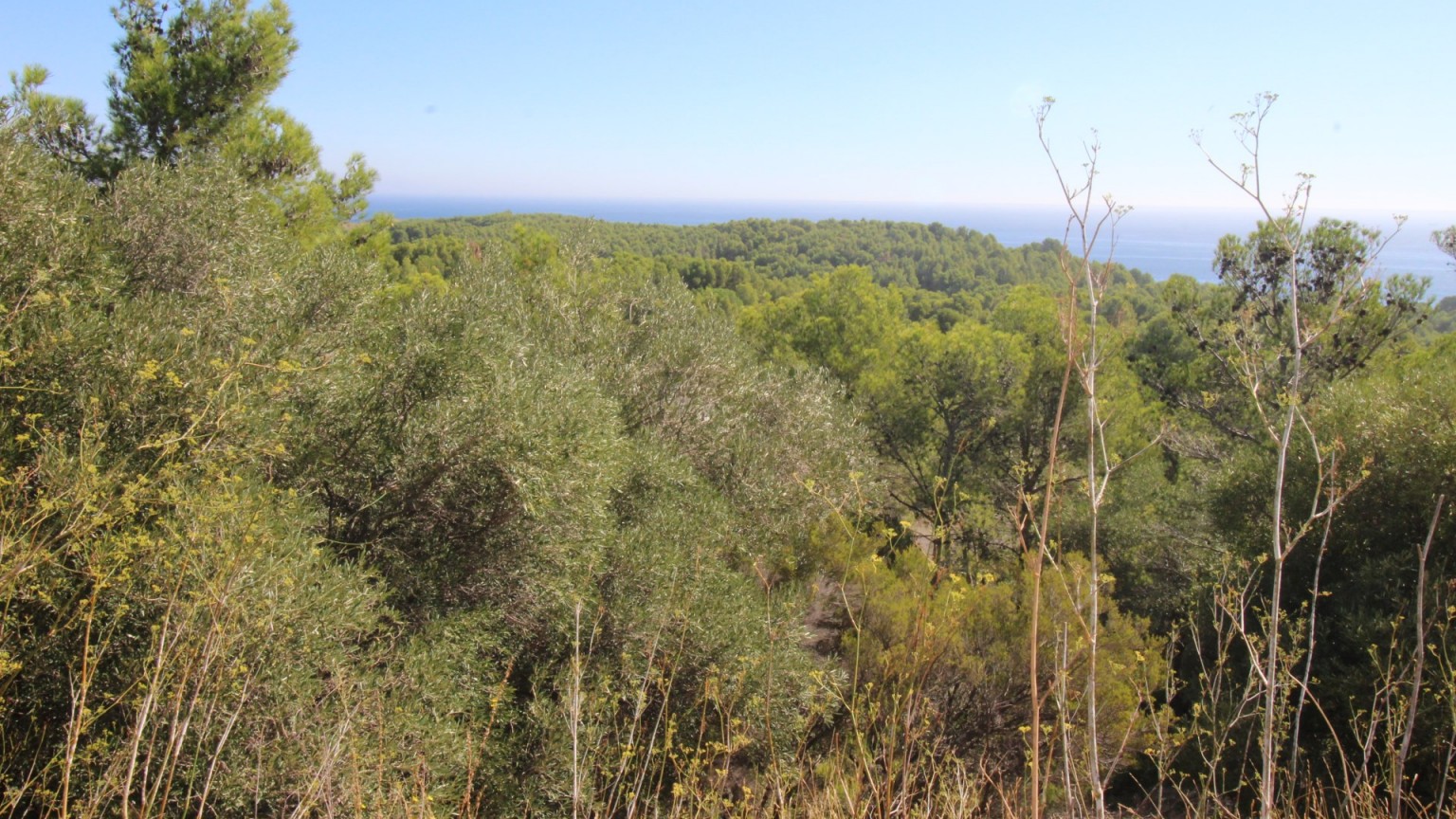 Fantástica parcela de terreno en venta con vista al mar en Cap Ras