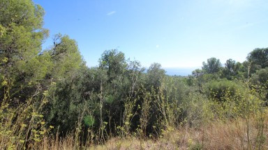 Fantástica parcela de terreno en venta con vista al mar en Cap Ras