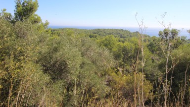 Fantàstica parcel.la de terreny en venda amb vista al mar a Cap Ras