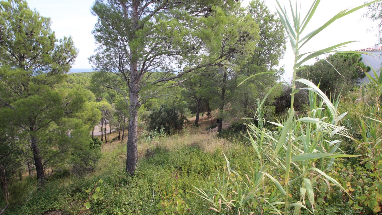 Fantástica parcela de terreno en venta con vista al mar en Cap Ras