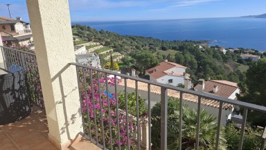 Fantastic house for sale in Grifeu